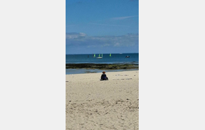 La Baule de Michel
